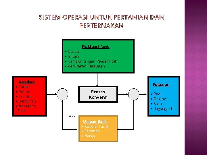 Fluktuasi Acak • Cuaca • Inflasi • Campur tangan Pemerintah • Kerusakan Peralatan Masukan