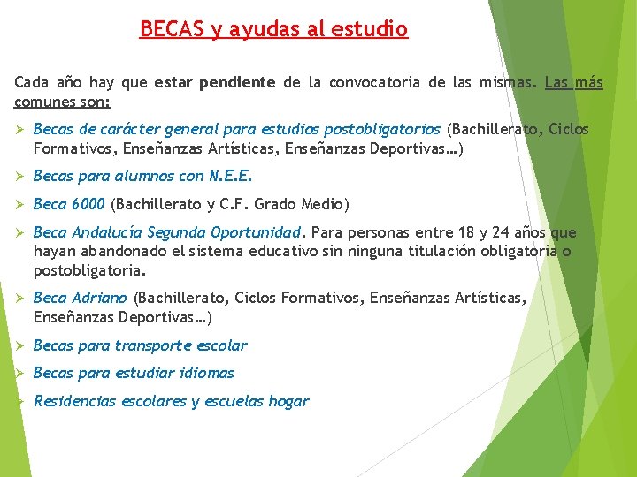 BECAS y ayudas al estudio Cada año hay que estar pendiente de la convocatoria