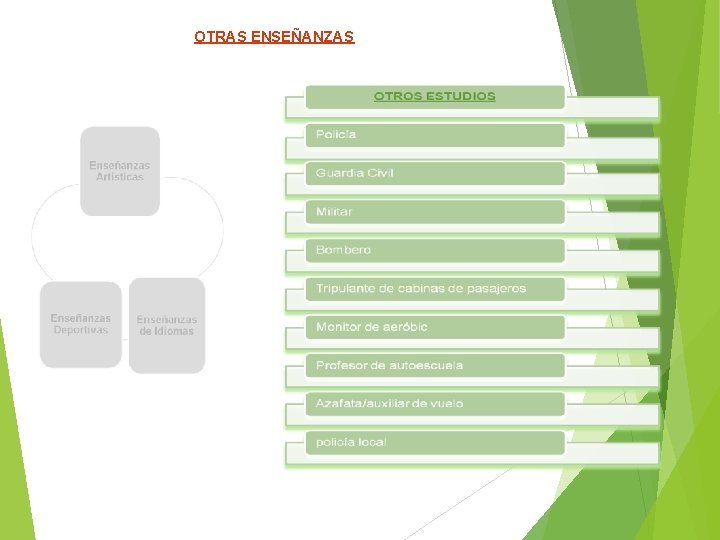 OTRAS ENSEÑANZAS 