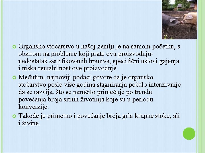 Organsko stočarstvo u našoj zemlji je na samom početku, s obzirom na probleme koji