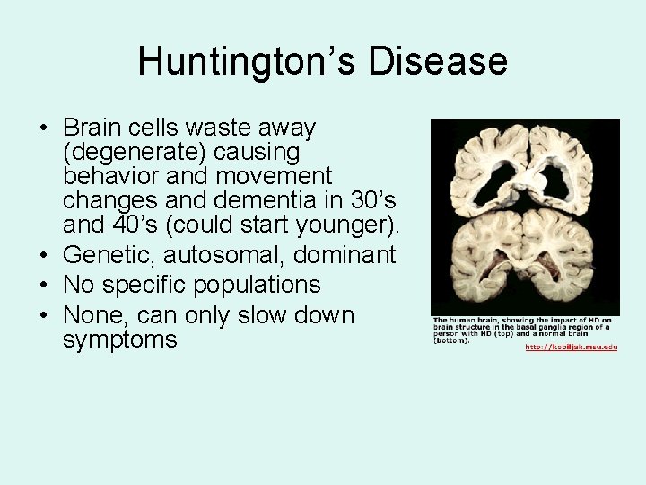 Huntington’s Disease • Brain cells waste away (degenerate) causing behavior and movement changes and