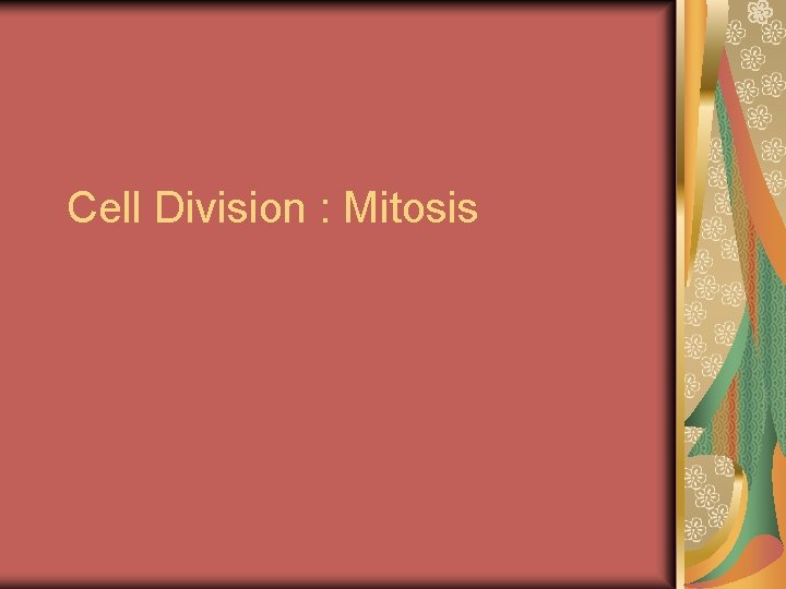Cell Division : Mitosis 