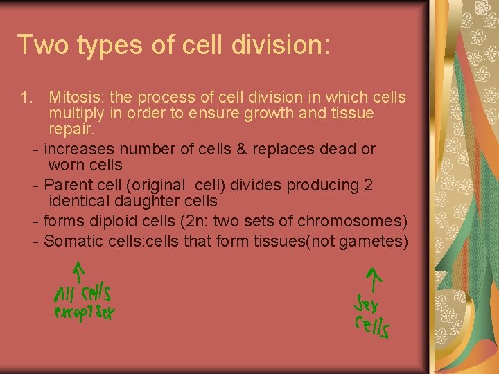 Two types of cell division: 1. Mitosis: the process of cell division in which