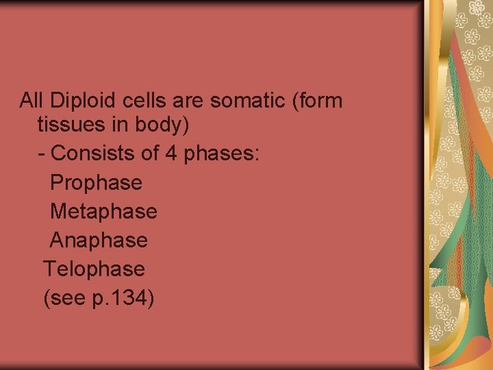 All Diploid cells are somatic (form tissues in body) - Consists of 4 phases: