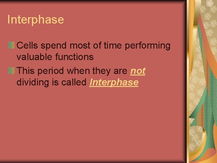 Interphase Cells spend most of time performing valuable functions This period when they are