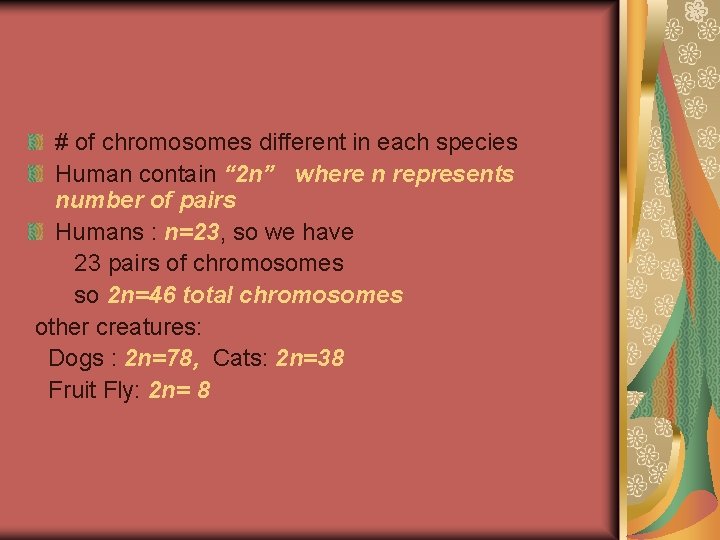 # of chromosomes different in each species Human contain “ 2 n” where n