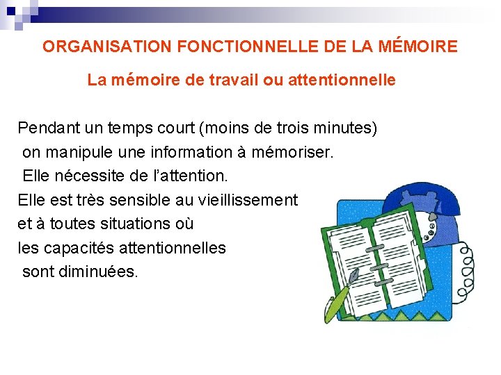ORGANISATION FONCTIONNELLE DE LA MÉMOIRE La mémoire de travail ou attentionnelle Pendant un temps