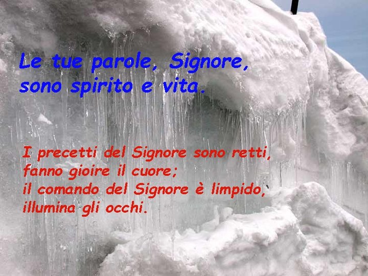Le tue parole, Signore, sono spirito e vita. I precetti del Signore sono retti, Le tue parole, Signore, sono spirito e vita. I precetti del Signore sono retti,