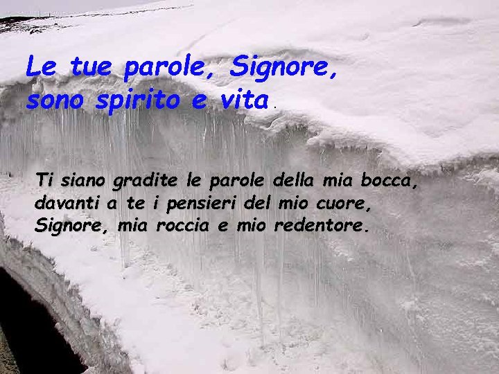 Le tue parole, Signore, sono spirito e vita. Ti siano gradite le parole della