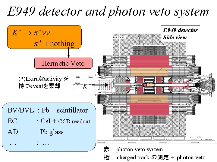 E 949 detector and photon veto system E 949 detector Side view Hermetic Veto
