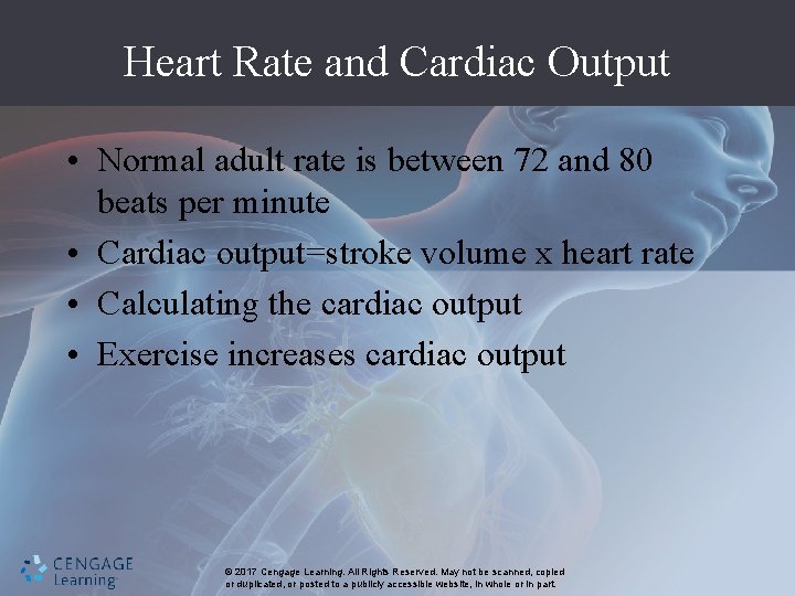 Heart Rate and Cardiac Output • Normal adult rate is between 72 and 80