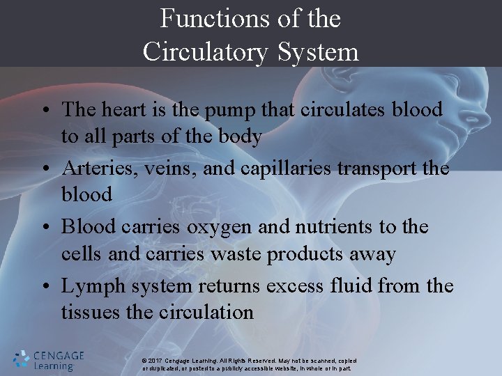 Functions of the Circulatory System • The heart is the pump that circulates blood