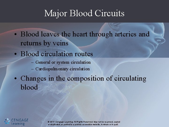 Major Blood Circuits • Blood leaves the heart through arteries and returns by veins