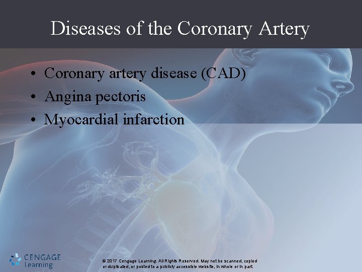 Diseases of the Coronary Artery • Coronary artery disease (CAD) • Angina pectoris •