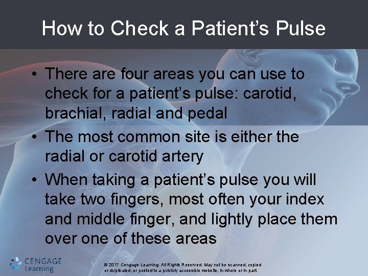 How to Check a Patient’s Pulse • There are four areas you can use