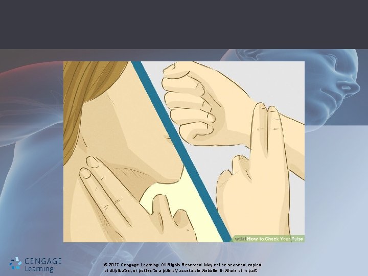 © 2017 Cengage Learning. All Rights Reserved. May not be scanned, copied or duplicated,