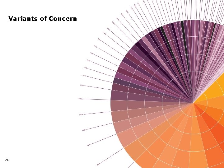 Variants of Concern 24 