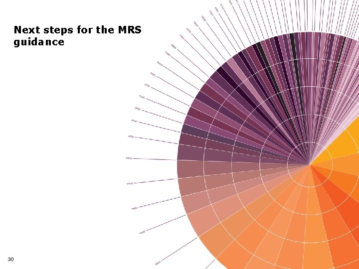 Next steps for the MRS guidance 30 