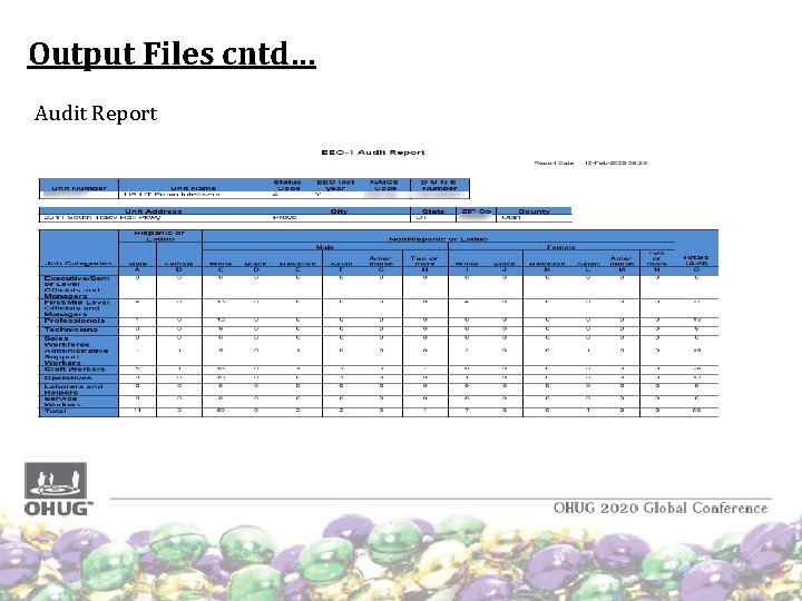 Output Files cntd… Audit Report Output Files cntd… Audit Report