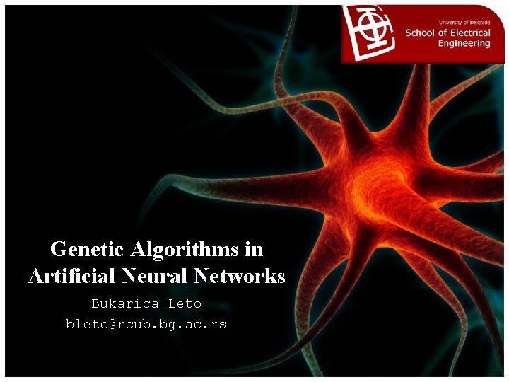 Genetic Algorithms in Artificial Neural Networks Bukarica Leto bleto@rcub. bg. ac. rs 