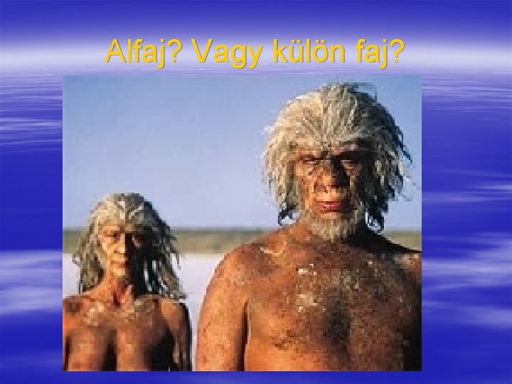 Alfaj? Vagy külön faj? 