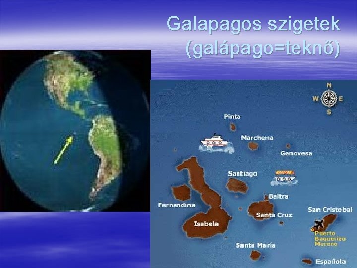 Galapagos szigetek (galápago=teknő) 