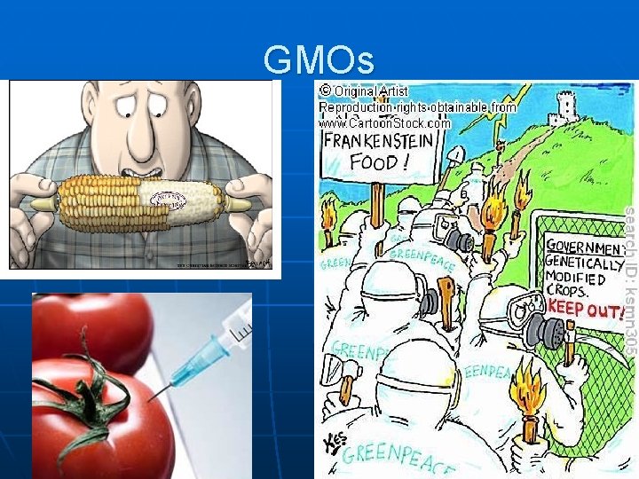 GMOs 