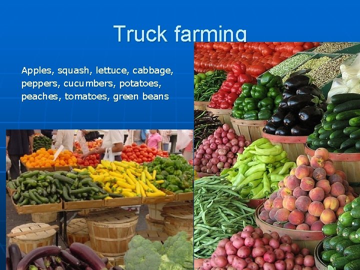 Truck farming Apples, squash, lettuce, cabbage, peppers, cucumbers, potatoes, peaches, tomatoes, green beans 