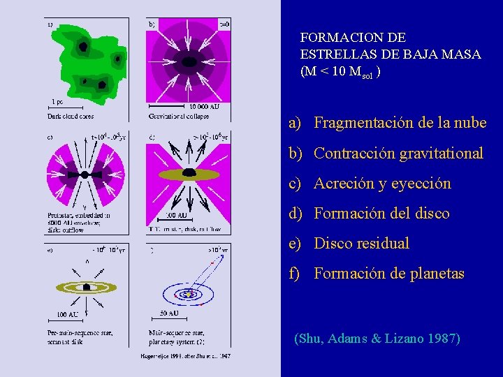 FORMACION DE ESTRELLAS DE BAJA MASA (M < 10 Msol ) a) Fragmentación de