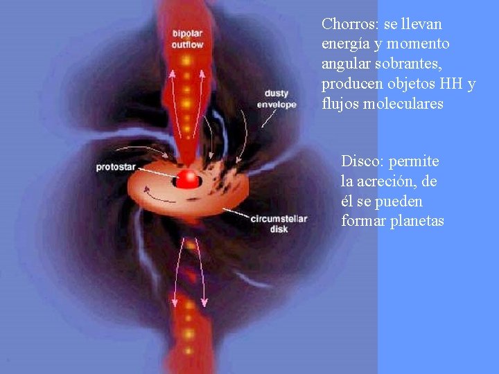 Chorros: se llevan energía y momento angular sobrantes, producen objetos HH y flujos moleculares