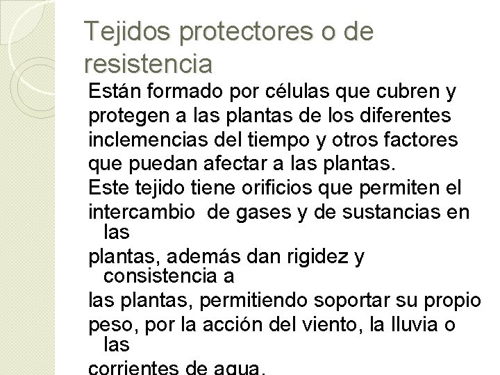 Tejidos protectores o de resistencia Están formado por células que cubren y protegen a Tejidos protectores o de resistencia Están formado por células que cubren y protegen a