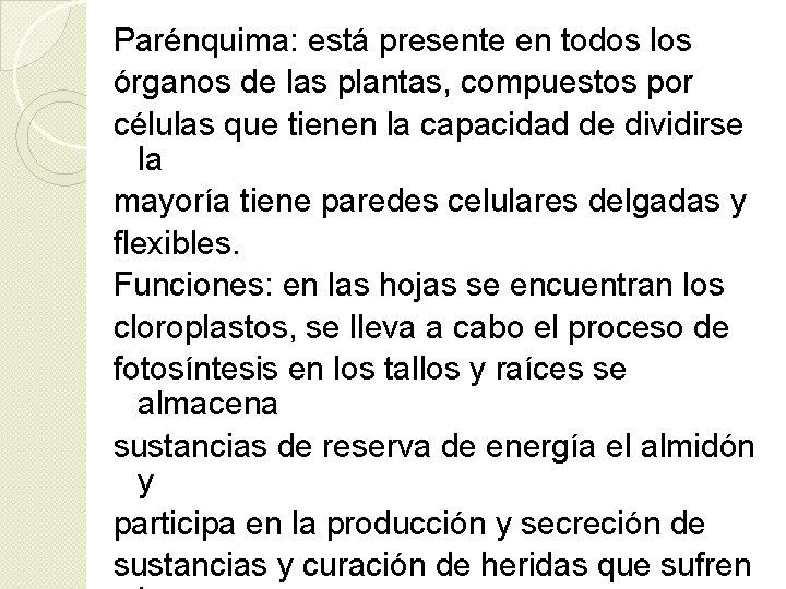 Parénquima: está presente en todos los órganos de las plantas, compuestos por células que Parénquima: está presente en todos los órganos de las plantas, compuestos por células que