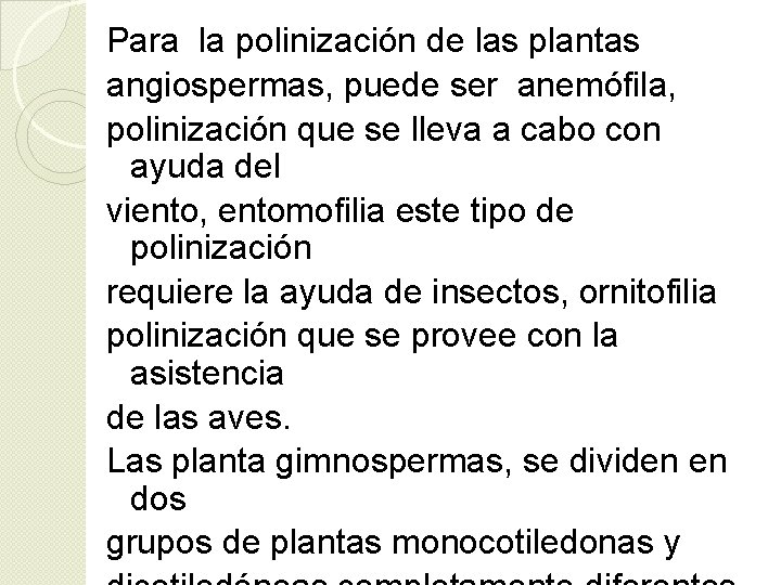 Para la polinización de las plantas angiospermas, puede ser anemófila, polinización que se lleva Para la polinización de las plantas angiospermas, puede ser anemófila, polinización que se lleva
