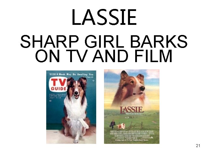 LASSIE SHARP GIRL BARKS ON TV AND FILM 21 