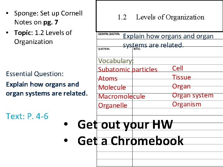  • Sponge: Set up Cornell Notes on pg. 7 • Topic: 1. 2