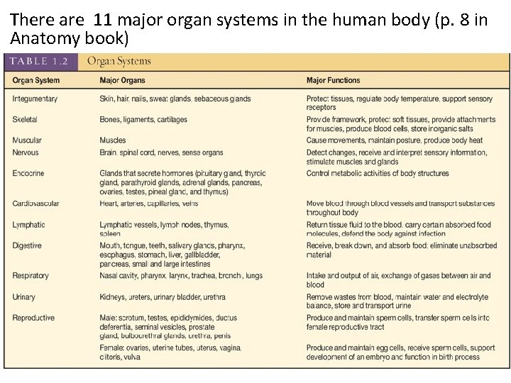 There are 11 major organ systems in the human body (p. 8 in Anatomy
