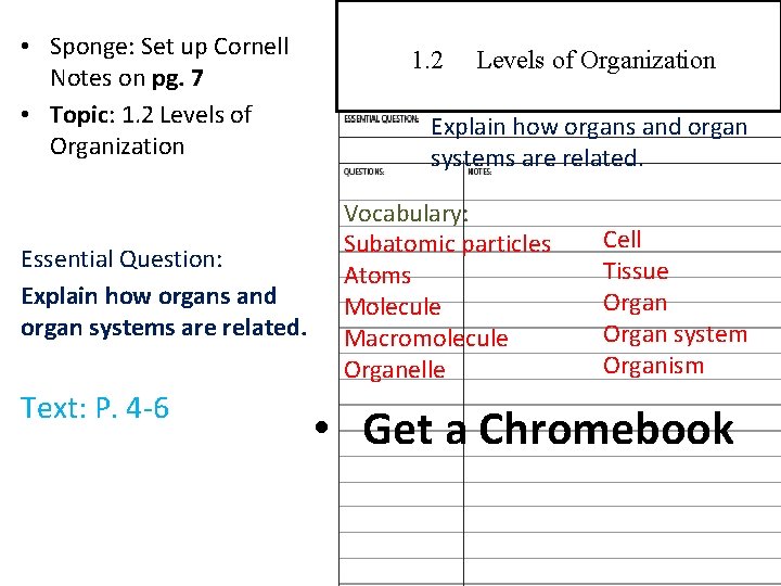  • Sponge: Set up Cornell Notes on pg. 7 • Topic: 1. 2