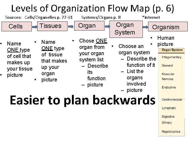 Levels of Organization Flow Map (p. 6) Sources: Cells/Organelles p. 77 -91 Cells •