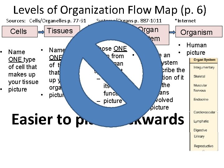 Levels of Organization Flow Map (p. 6) Sources: Cells/Organelles p. 77 -91 Cells •