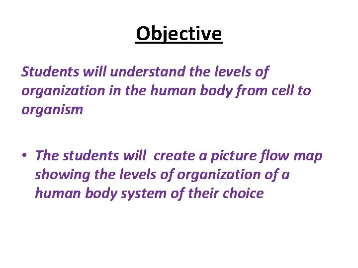 Objective Students will understand the levels of organization in the human body from cell