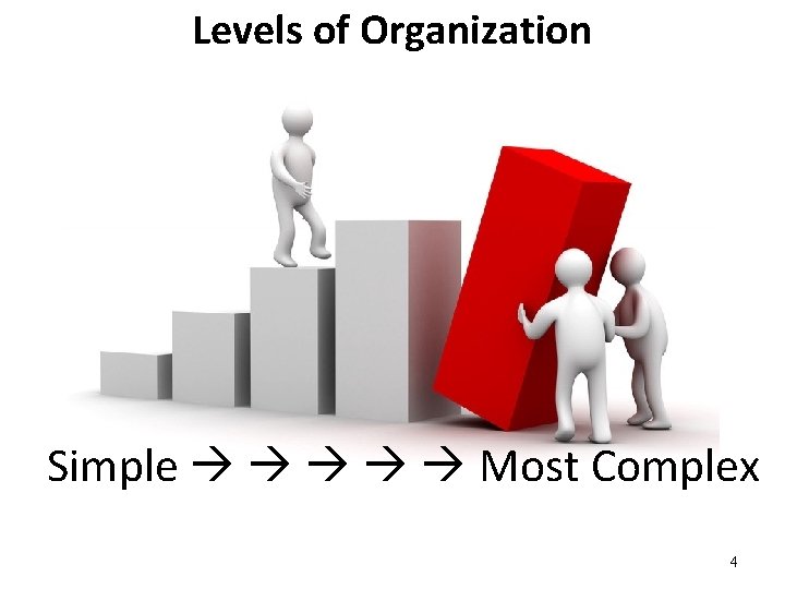 Levels of Organization Simple Most Complex 4 