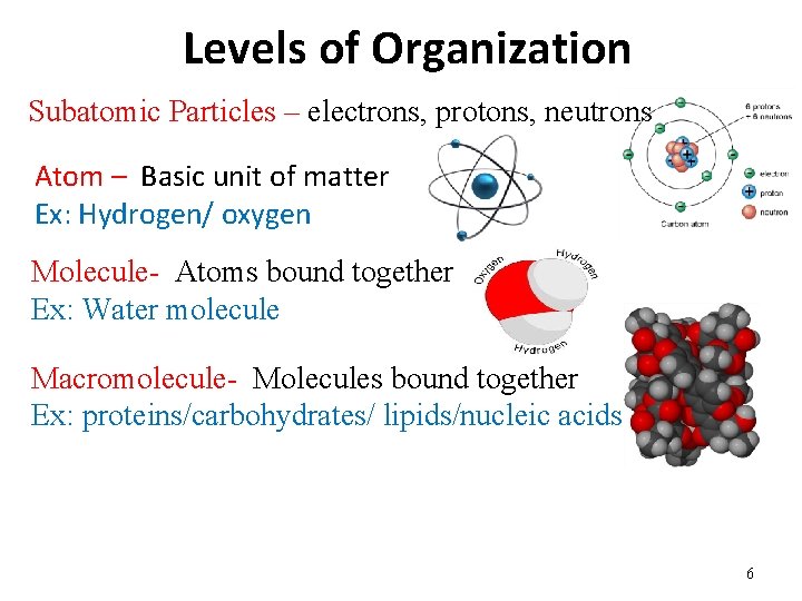 Levels of Organization Subatomic Particles – electrons, protons, neutrons Atom – Basic unit of