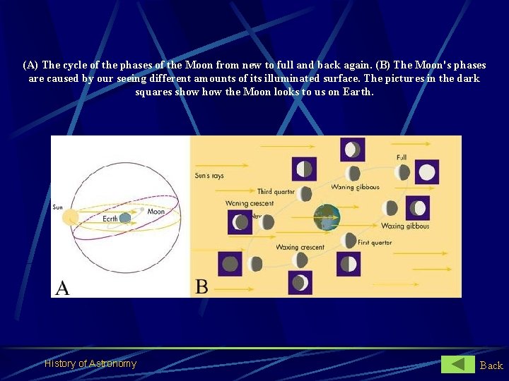 (A) The cycle of the phases of the Moon from new to full and