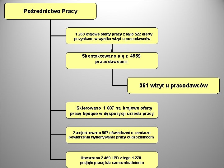 Pośrednictwo Pracy 1 263 krajowe oferty pracy z tego 522 oferty pozyskano w wyniku