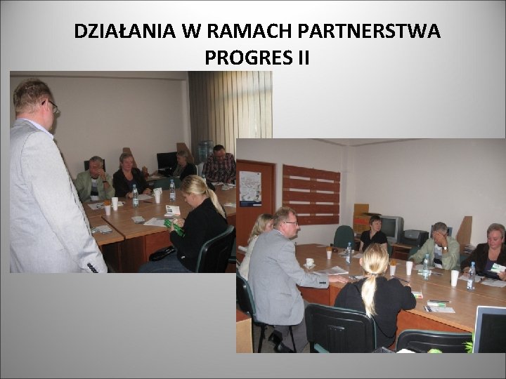 DZIAŁANIA W RAMACH PARTNERSTWA PROGRES II 