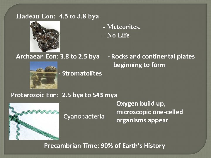 Hadean Eon: 4. 5 to 3. 8 bya - Meteorites. - No Life Archaean