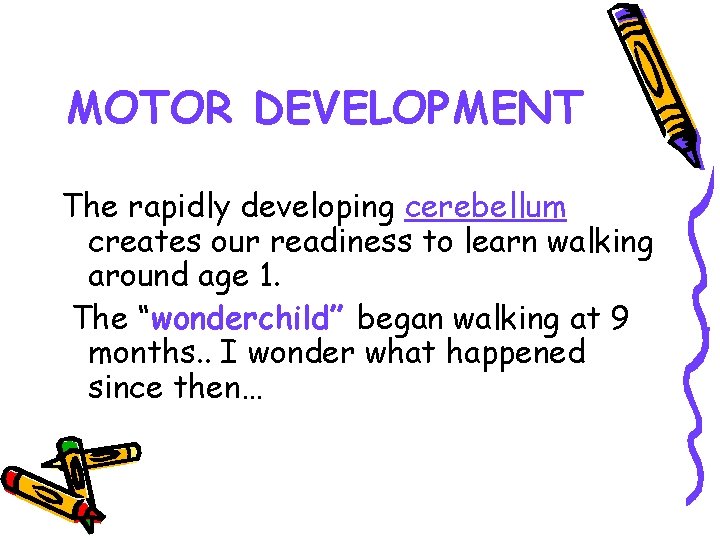 MOTOR DEVELOPMENT The rapidly developing cerebellum creates our readiness to learn walking around age