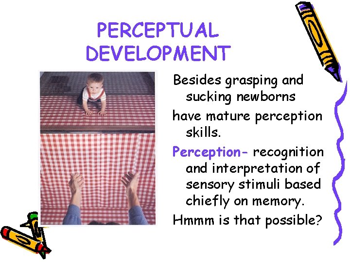 PERCEPTUAL DEVELOPMENT Besides grasping and sucking newborns have mature perception skills. Perception- recognition and