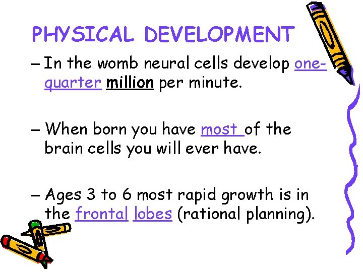 PHYSICAL DEVELOPMENT – In the womb neural cells develop onequarter million per minute. –