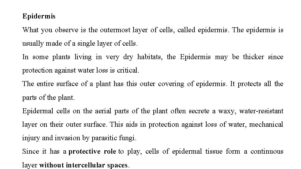 Epidermis What you observe is the outermost layer of cells, called epidermis. The epidermis